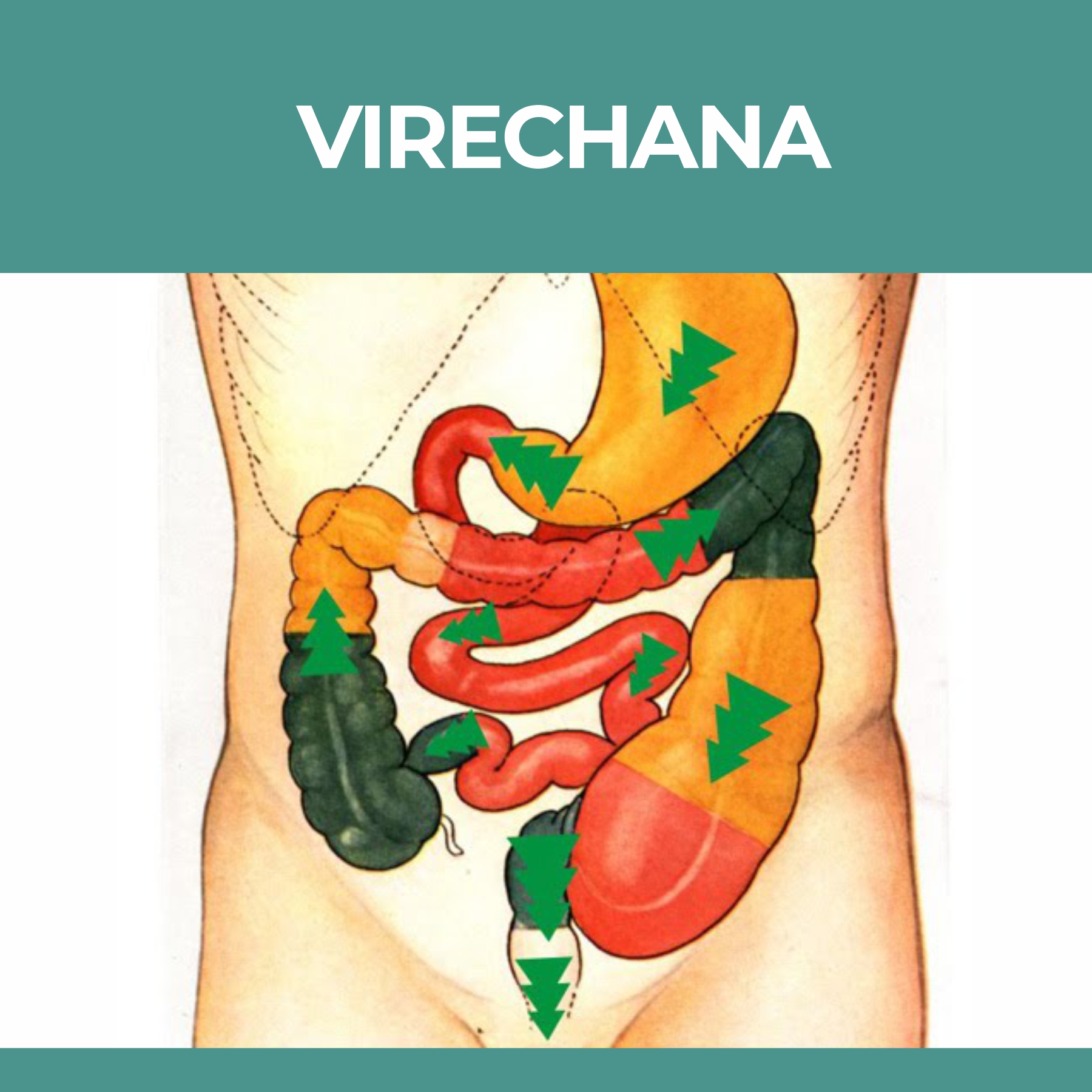 ayurvedictreatment